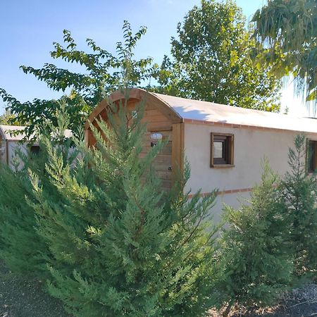 Finca Alarcos Valverde  Ngoại thất bức ảnh