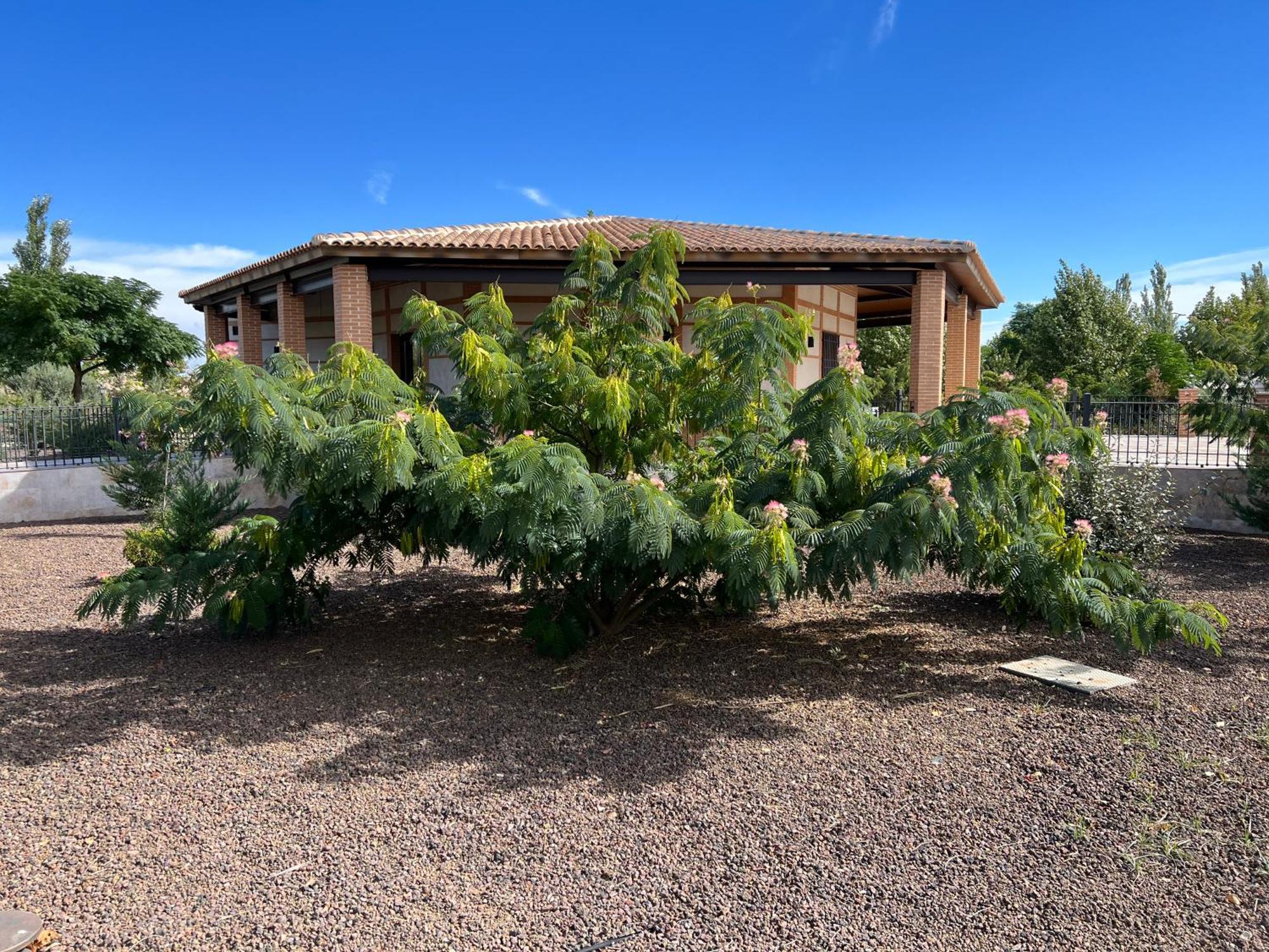 Finca Alarcos Valverde  Ngoại thất bức ảnh